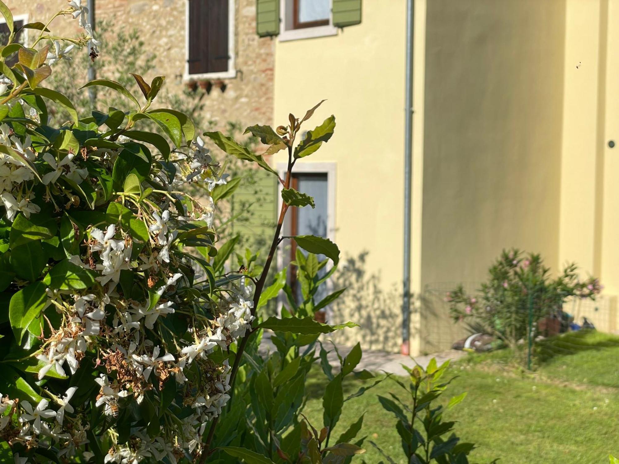 Casa Carlotte - Lago Di Garda ラツィーゼ エクステリア 写真